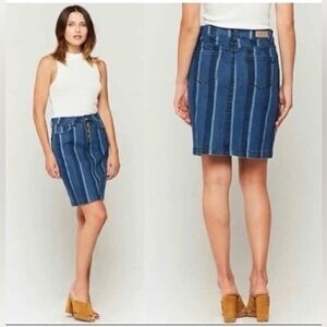 Anthropologie SZ 6 Blue Denim Pencil Skirt button fly closure, Cotton